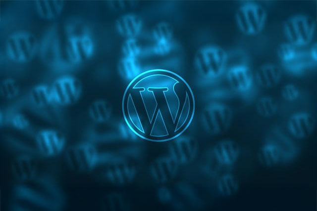 WordPress logo representing custom website development and platform expertise.