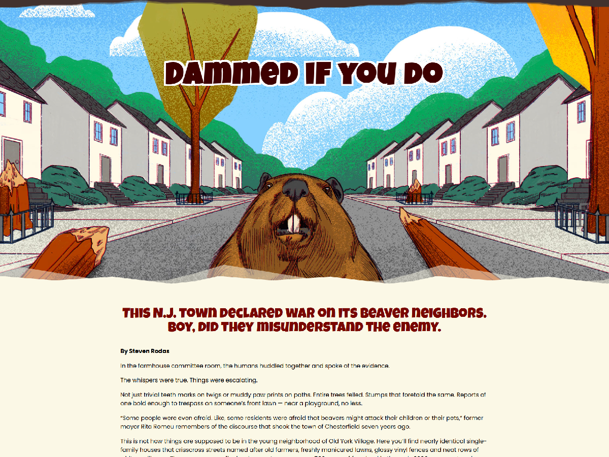 Dammed If You Do illustrated NJ.com story page featuring a beaver in a neighborhood